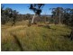 170 Cultowa Lane, Billimari NSW 2804