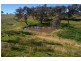 170 Cultowa Lane, Billimari NSW 2804