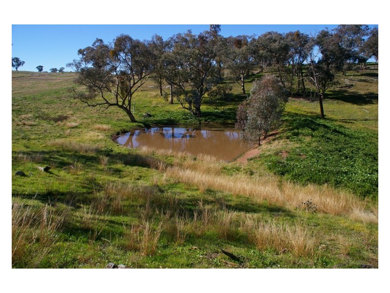 170 Cultowa Lane, Billimari NSW 2804