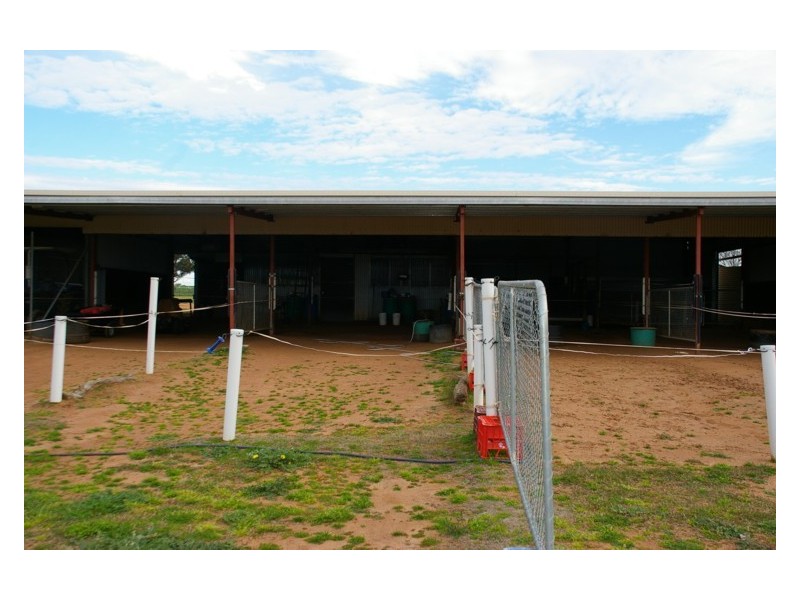 571 Chiverton Road, Cowra NSW 2794