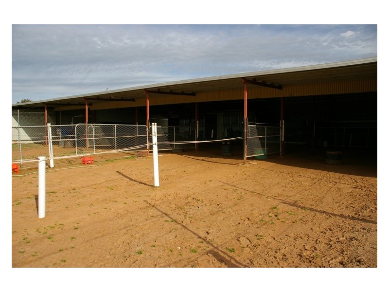 571 Chiverton Road, Cowra NSW 2794