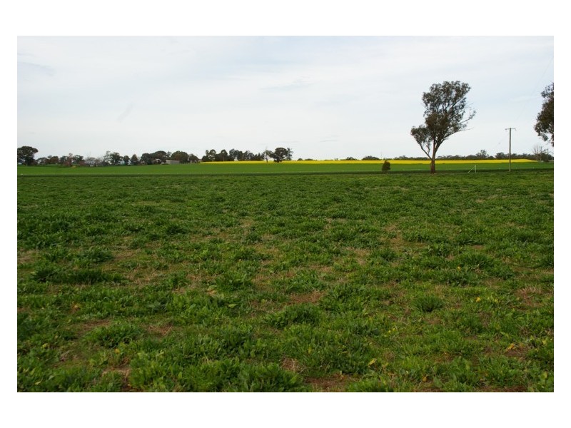 571 Chiverton Road, Cowra NSW 2794