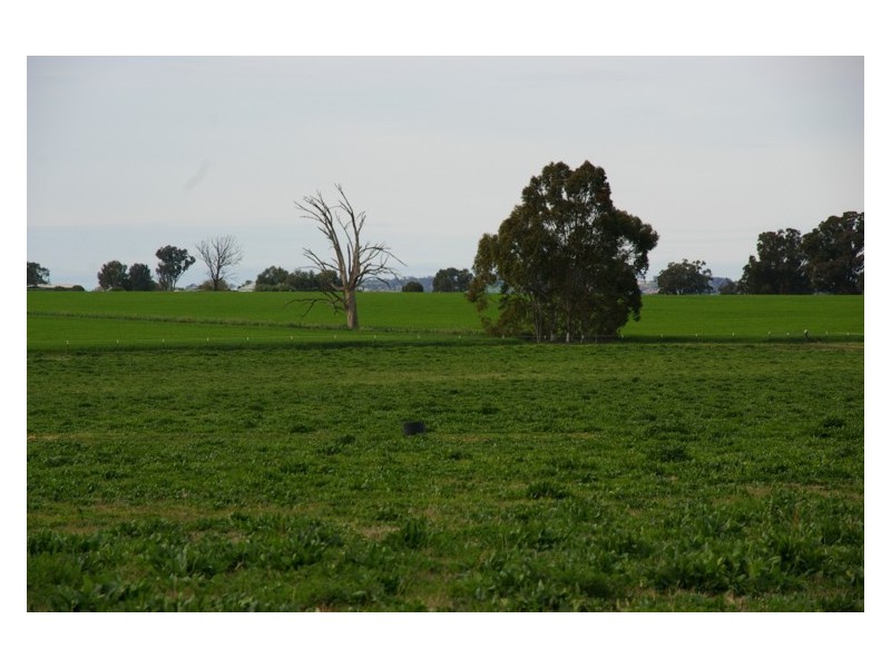 571 Chiverton Road, Cowra NSW 2794