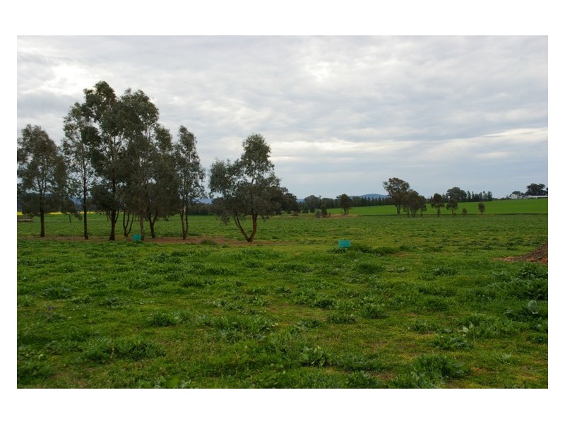 571 Chiverton Road, Cowra NSW 2794