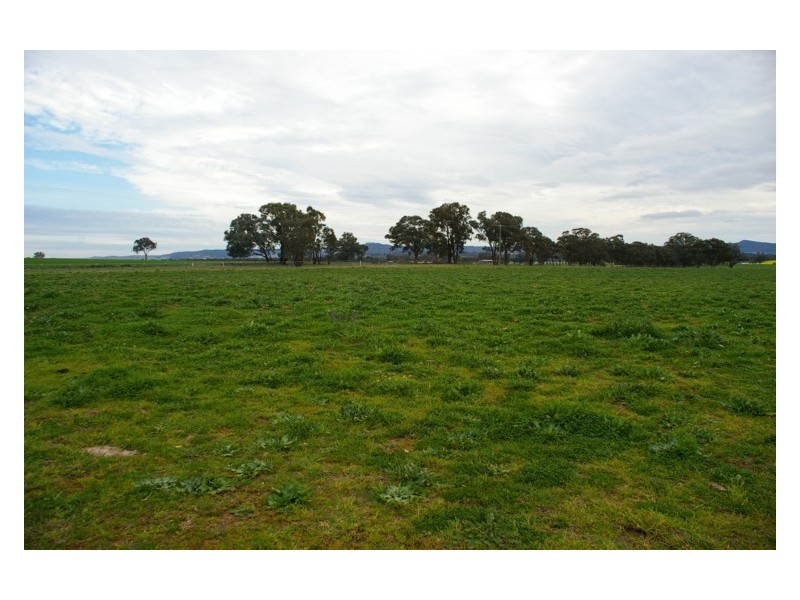 571 Chiverton Road, Cowra NSW 2794