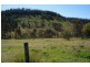 1579 Barryrennie Road, Cowra NSW 2794