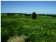 3134 Mid Western Highway, Cowra NSW 2794
