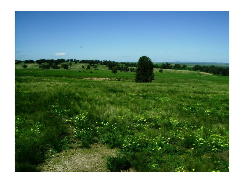 3134 Mid Western Highway, Cowra NSW 2794