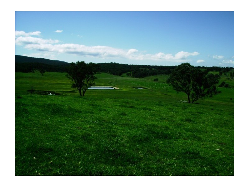 3134 Mid Western Highway, Cowra NSW 2794