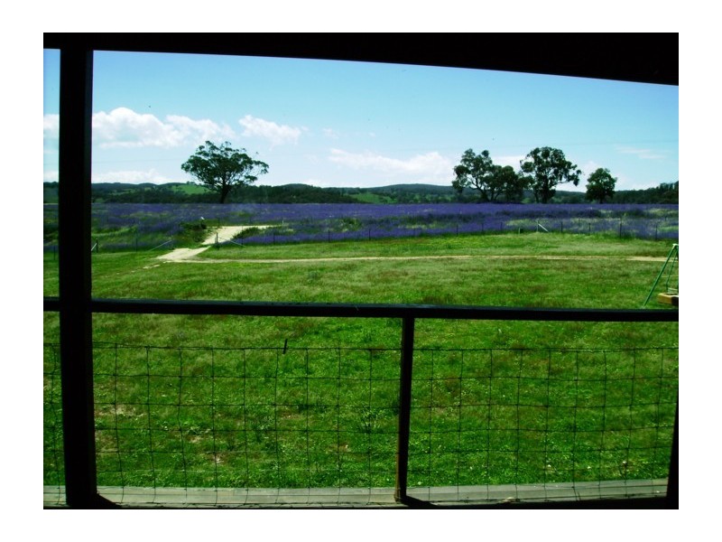 305 Horton Drive, Woodstock NSW 2793