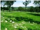 305 Horton Drive, Woodstock NSW 2793
