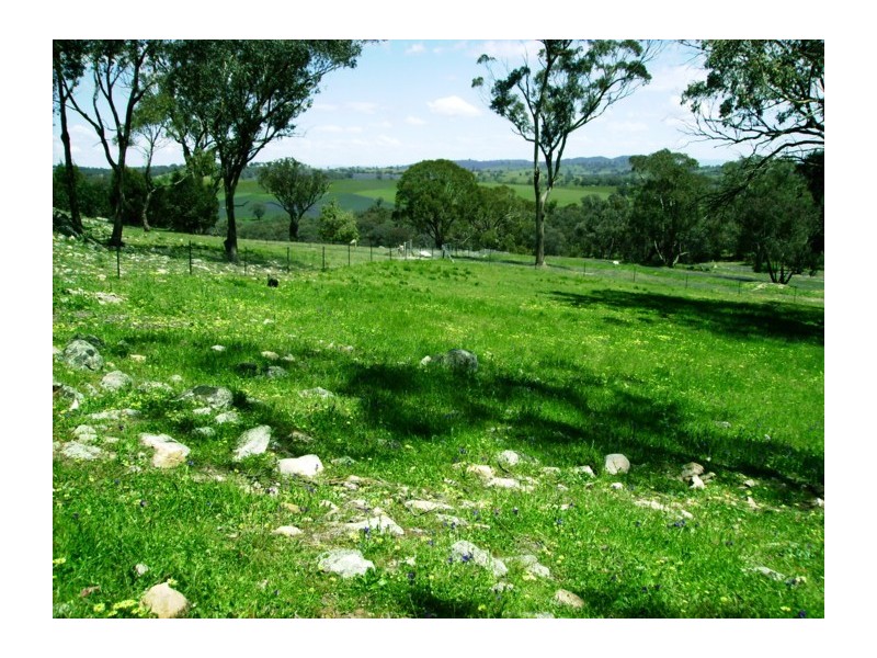 305 Horton Drive, Woodstock NSW 2793