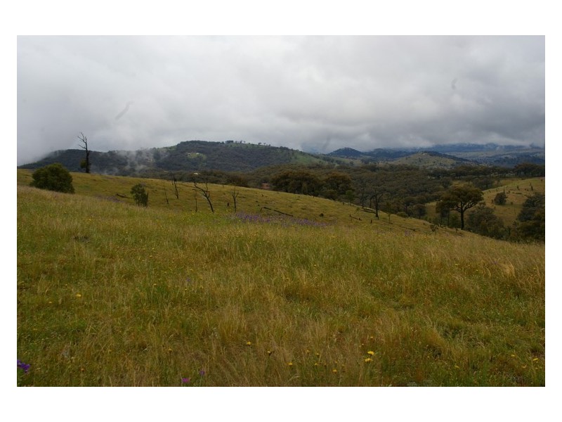 1893 Reg Hailstone Way, Woodstock NSW 2793