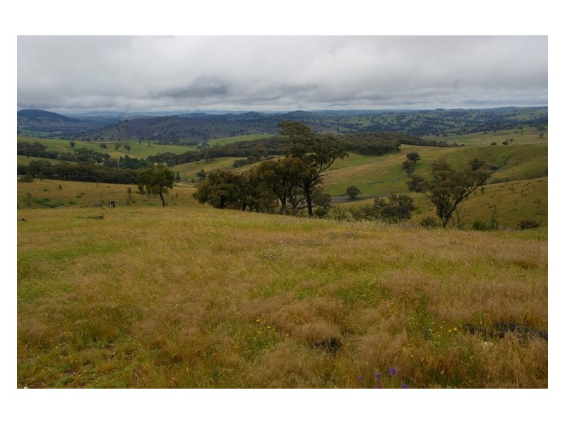 1893 Reg Hailstone Way, Woodstock NSW 2793