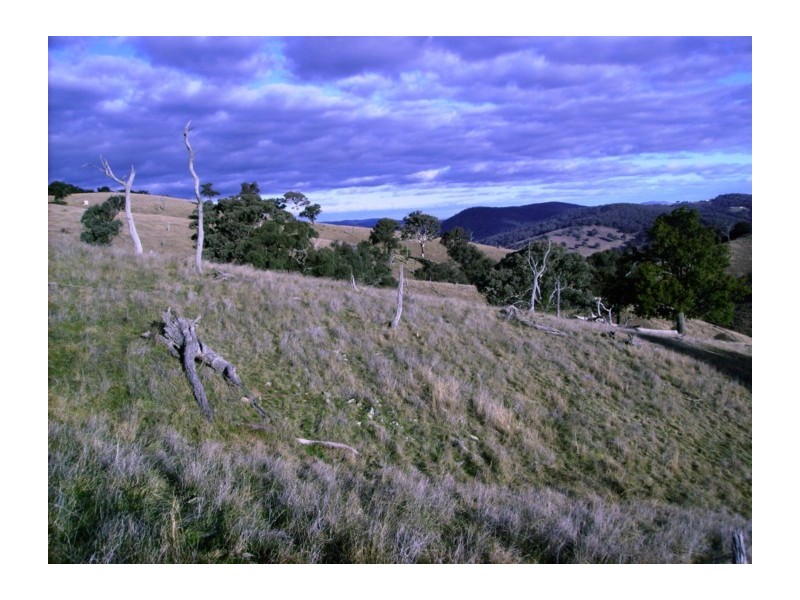 1893 Reg Hailstone Way, Woodstock NSW 2793