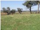 30 Cultowa Lane, Billimari NSW 2804