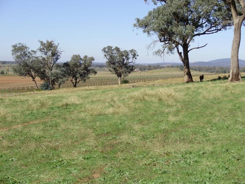 30 Cultowa Lane, Billimari NSW 2804