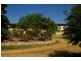 Lot 5, Elouera Road, Cowra NSW 2794