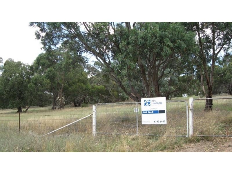 53 Allison Drive, Woodstock NSW 2793