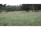 53 Allison Drive, Woodstock NSW 2793