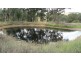 53 Allison Drive, Woodstock NSW 2793