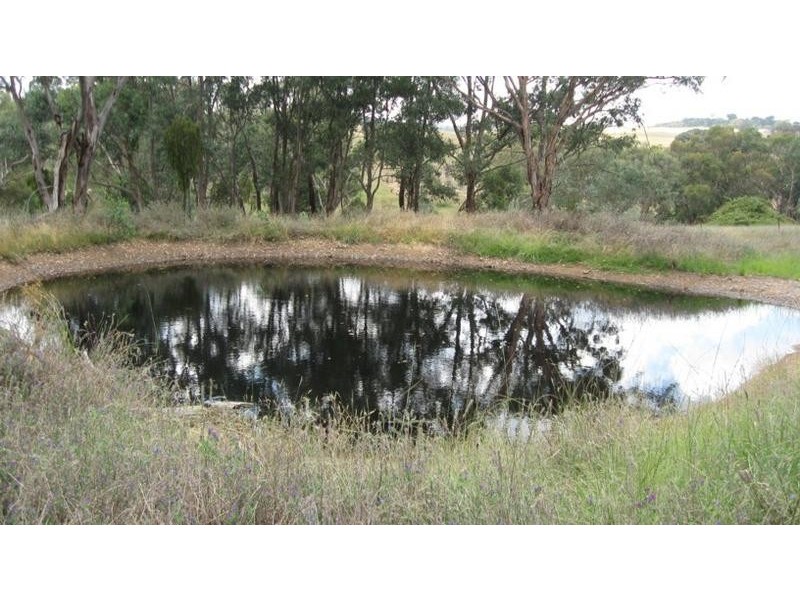 53 Allison Drive, Woodstock NSW 2793