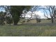 53 Allison Drive, Woodstock NSW 2793