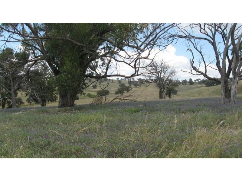 53 Allison Drive, Woodstock NSW 2793