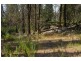 Lot 31,  Cobb Way, Woodstock NSW 2793