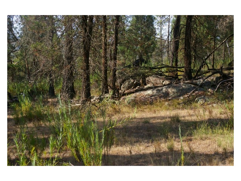 Lot 31,  Cobb Way, Woodstock NSW 2793