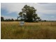 Lot 4,  Fitzroy Street, Greenethorpe NSW 2809