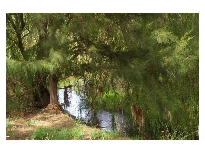 75 Willowvale Road, Cowra NSW 2794
