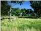 1005 Pine Mount Road, Woodstock NSW 2793