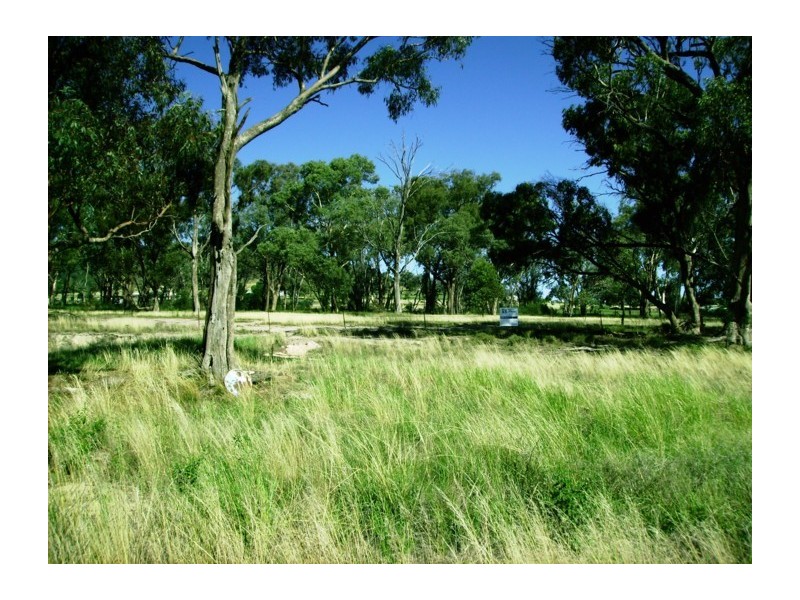 1005 Pine Mount Road, Woodstock NSW 2793