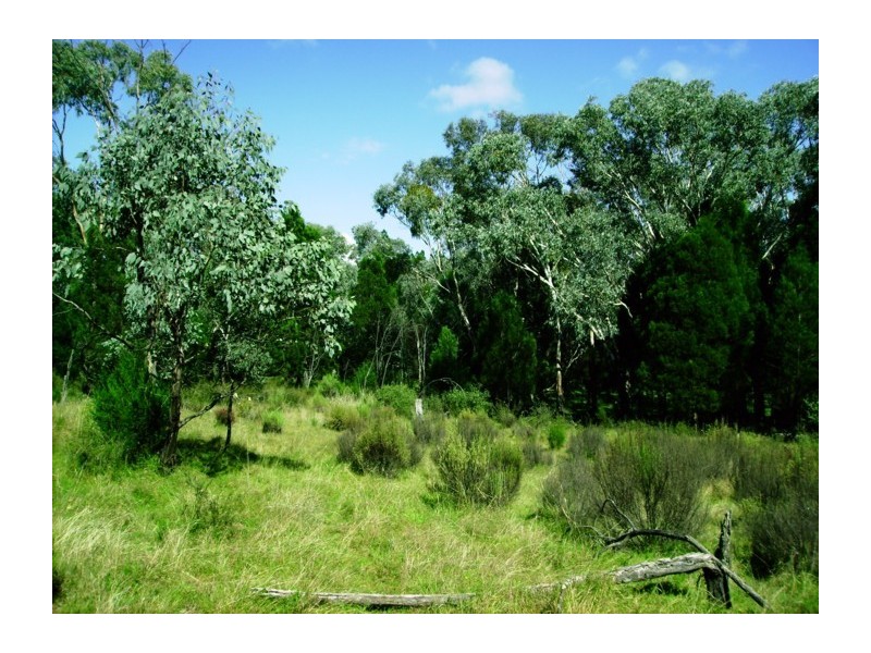 Lot 1,  Major West Road, Cowra NSW 2794