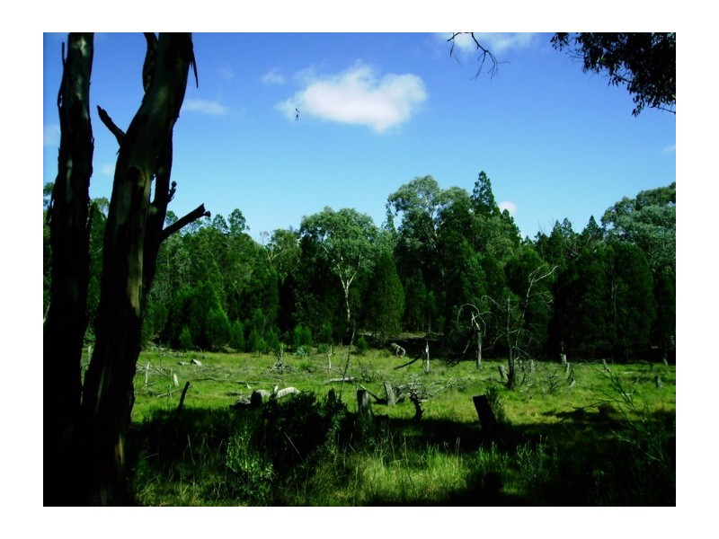 Lot 1,  Major West Road, Cowra NSW 2794