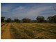 273 Horton Drive, Woodstock NSW 2793