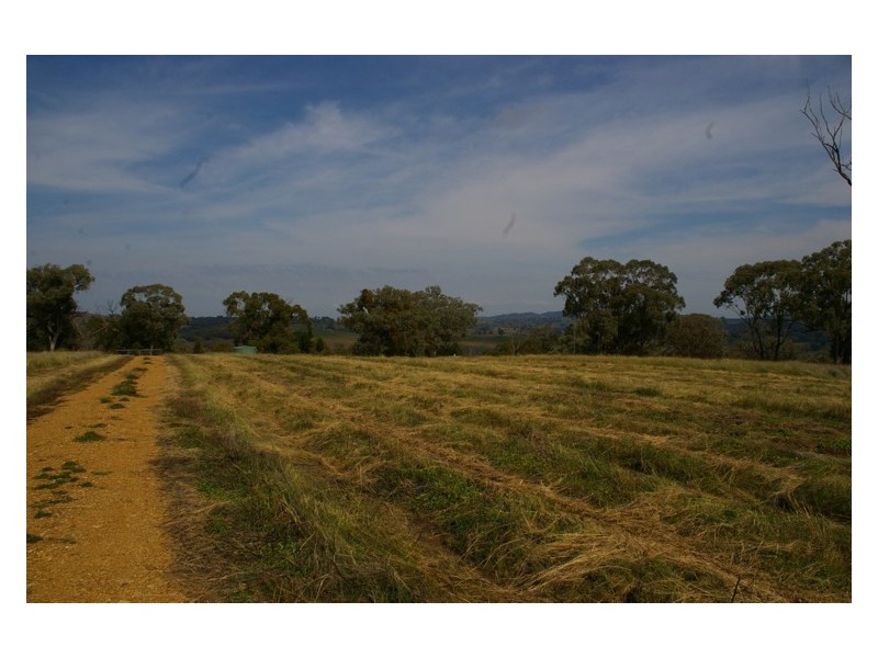 273 Horton Drive, Woodstock NSW 2793