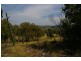 273 Horton Drive, Woodstock NSW 2793