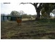 273 Horton Drive, Woodstock NSW 2793