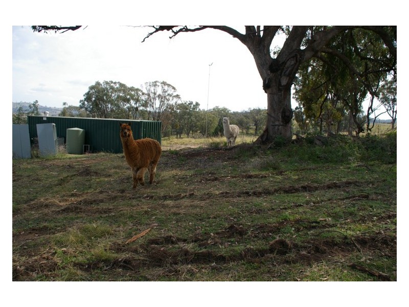273 Horton Drive, Woodstock NSW 2793