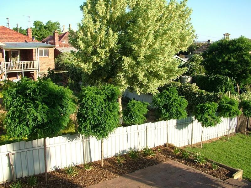 11 Daly Street, Cowra NSW 2794