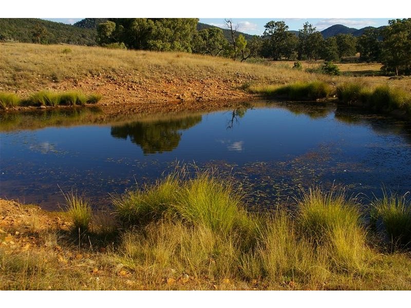 1168 Kangarooby Road, Gooloogong NSW 2805