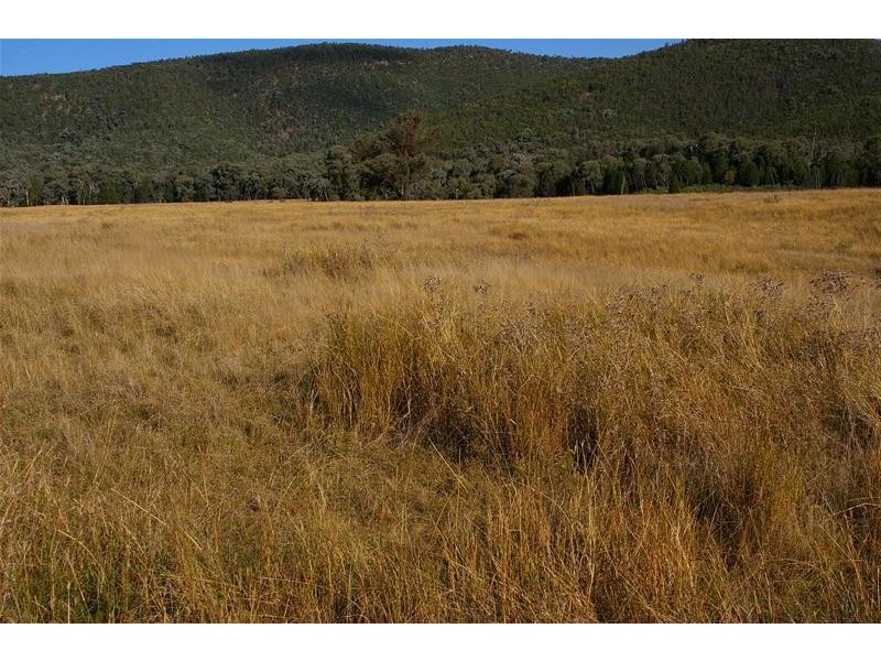 1168 Kangarooby Road, Gooloogong NSW 2805