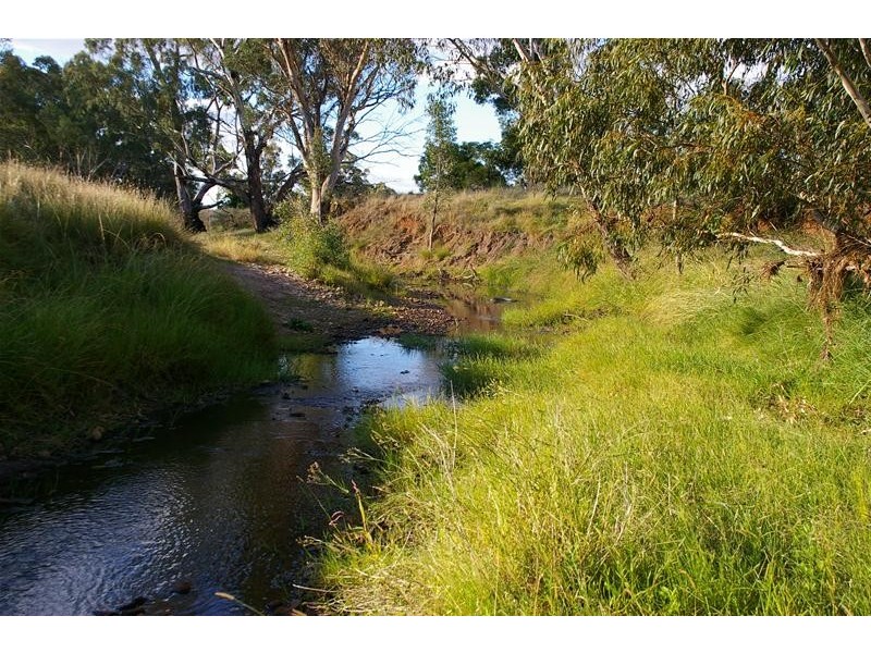 1168 Kangarooby Road, Gooloogong NSW 2805