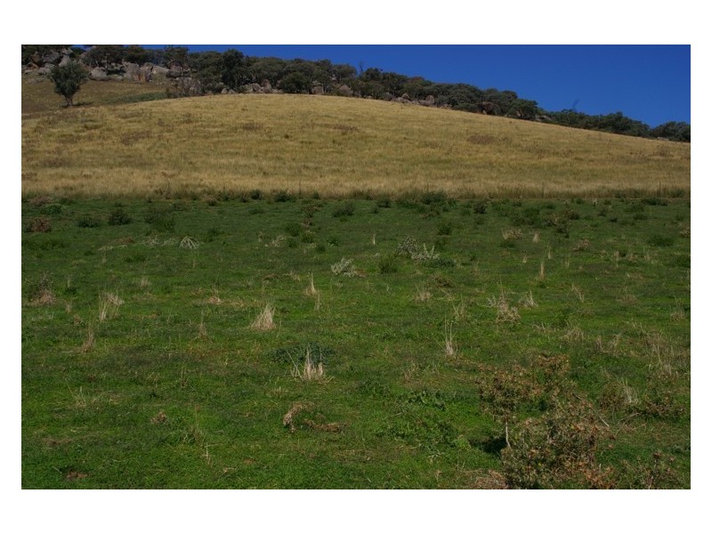 Lot 99,  Darbys Falls Road, Darbys Falls NSW 2793