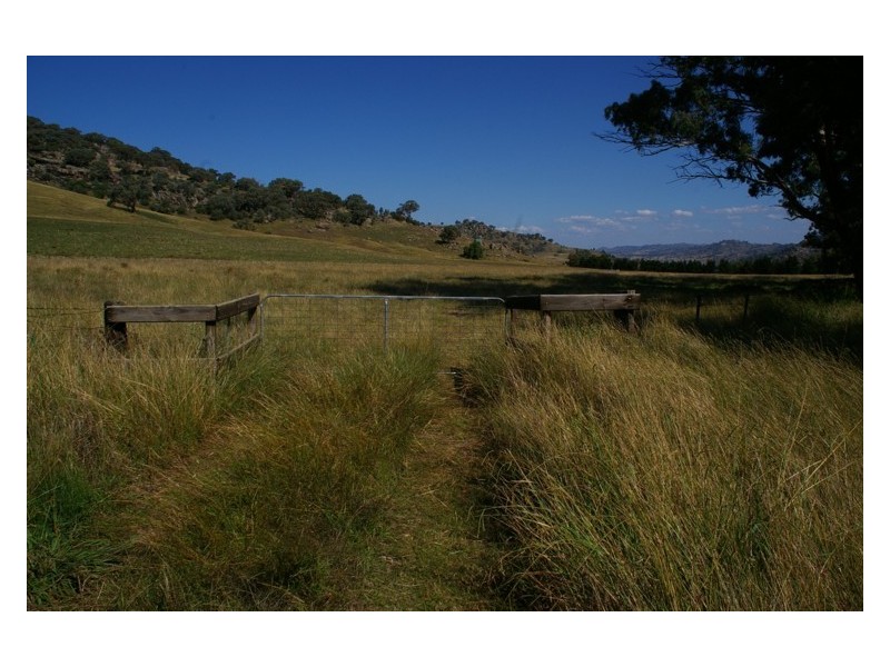 Lot 99,  Darbys Falls Road, Darbys Falls NSW 2793