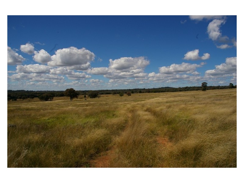 Fernhill Road, Crowther NSW 2803