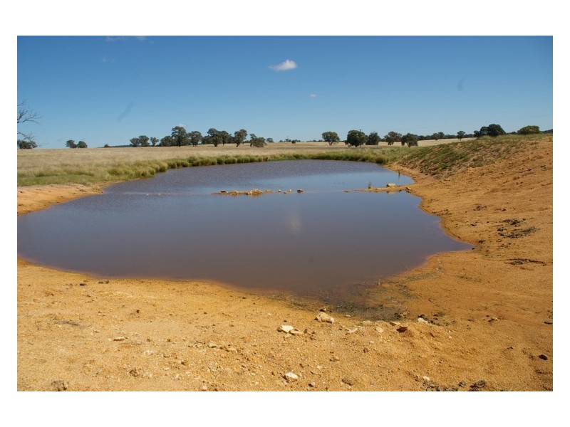 Fernhill Road, Crowther NSW 2803