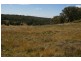 Lot 10,  Pipe Clay Road, Koorawatha NSW 2807